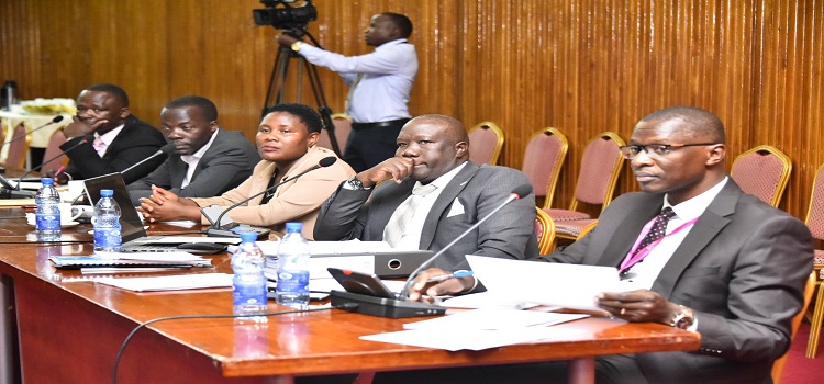 Birungi (R) with colleagues from the financing body appearing before the committee