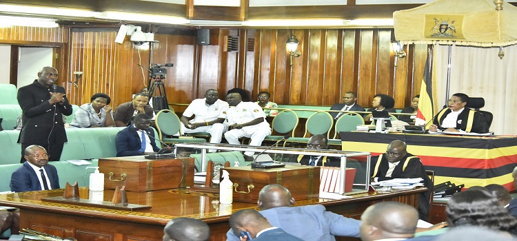 Hon. Kateshumbwa (standing) submitting his views on the bill